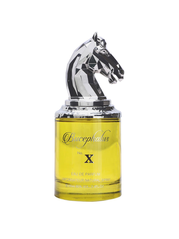 Armaf Bucephalus-X Eau De Parfum 100ML – Oriental Spicy Fragrance