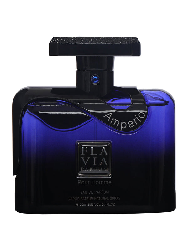 Flavia Ampario Pour Homme Eau De Parfum 100ML