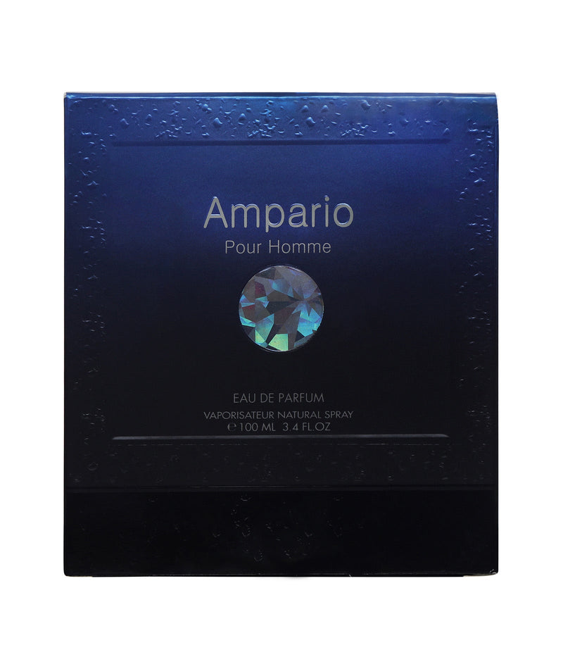 Flavia Ampario Pour Homme Eau De Parfum 100ML