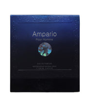 Flavia Ampario Pour Homme Eau De Parfum 100ML