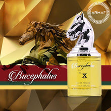 Armaf Bucephalus-X Eau De Parfum 100ML – Oriental Spicy Fragrance